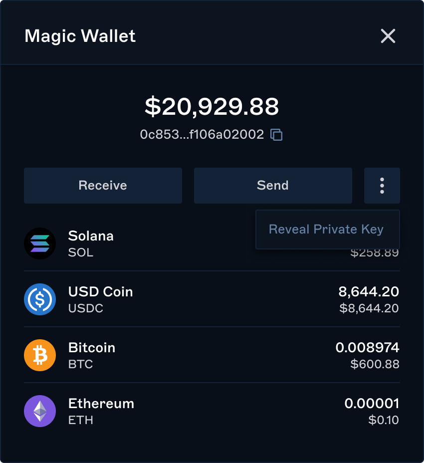 Magic Wallet